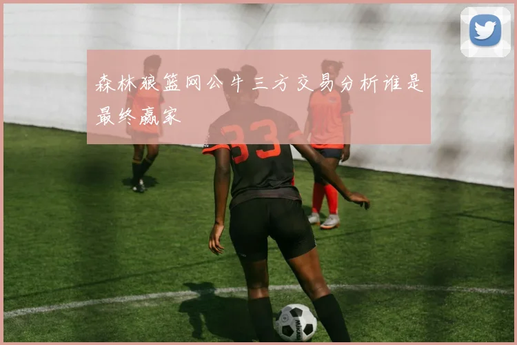 森林狼篮网公牛三方交易分析谁是最终赢家