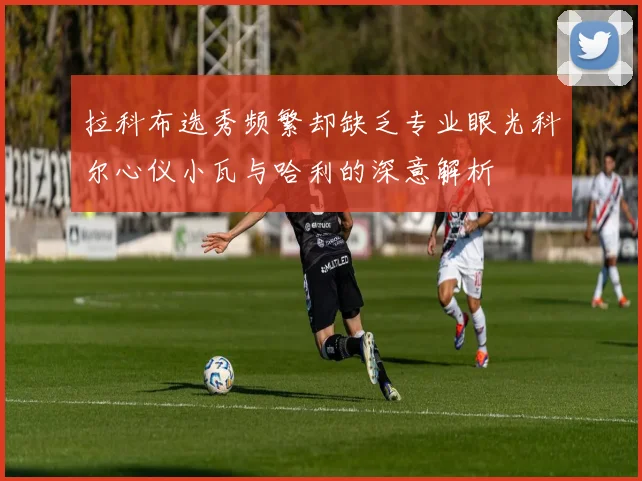 拉科布选秀频繁却缺乏专业眼光科尔心仪小瓦与哈利的深意解析