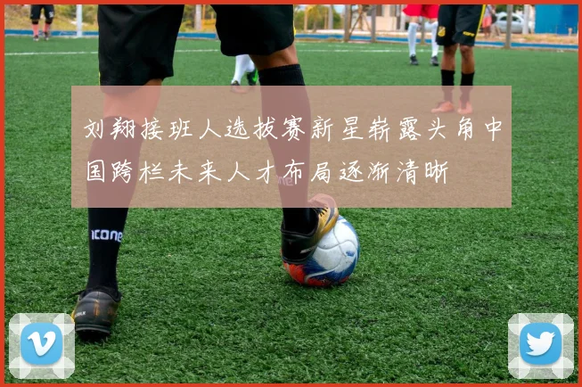 刘翔接班人选拔赛新星崭露头角中国跨栏未来人才布局逐渐清晰