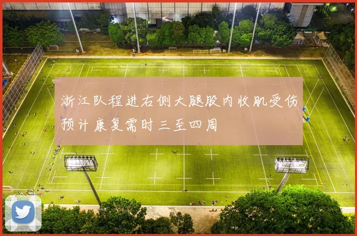 浙江队程进右侧大腿股内收肌受伤预计康复需时三至四周