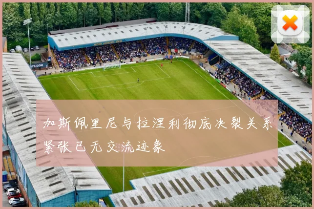 加斯佩里尼与拉涅利彻底决裂关系紧张已无交流迹象